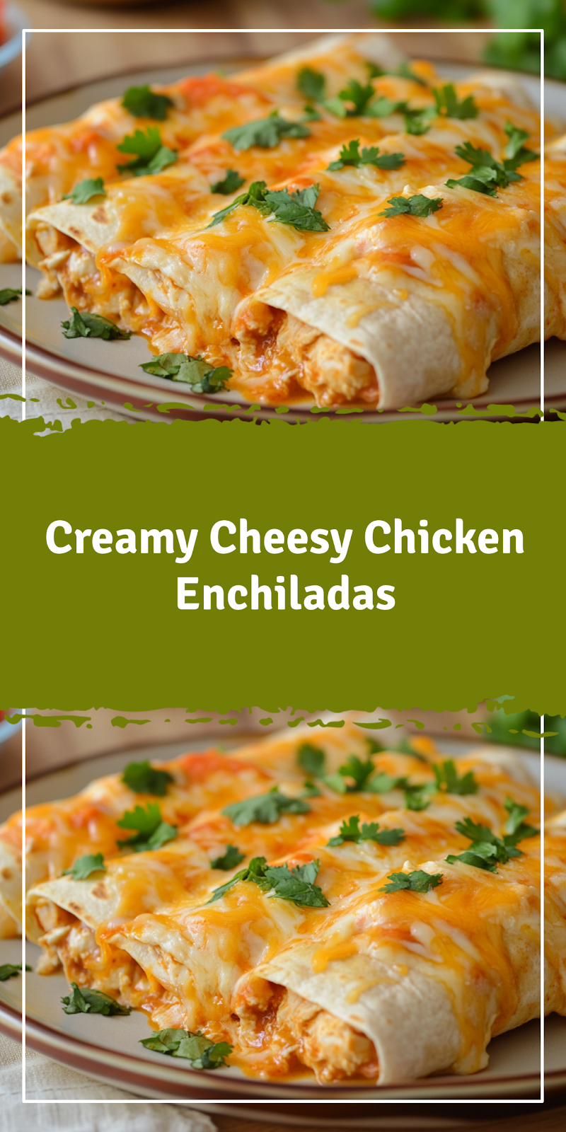 Chicken Enchiladas with Cheese Sauce