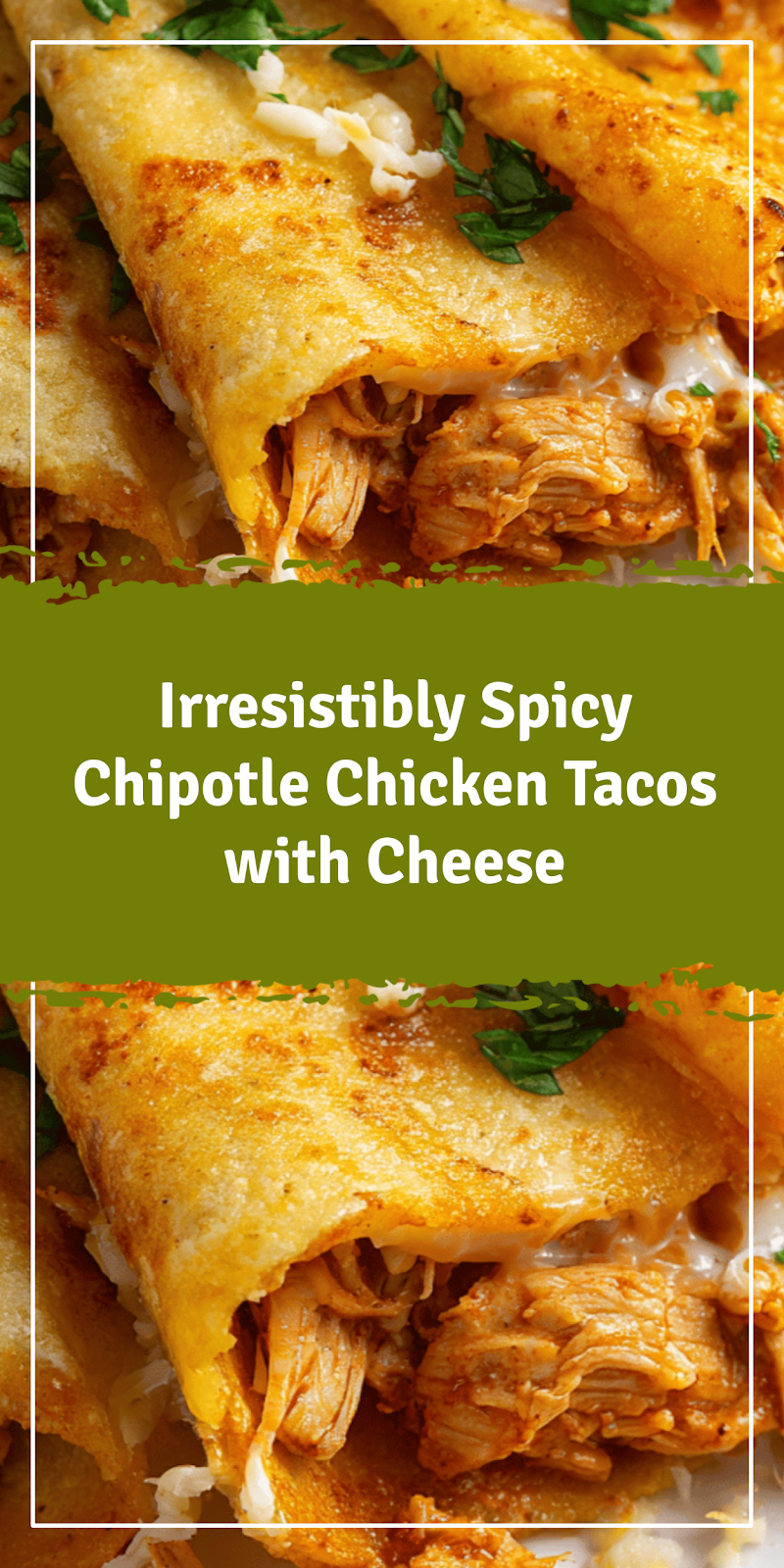 Spicy Chipotle Chicken Tacos with Cheese